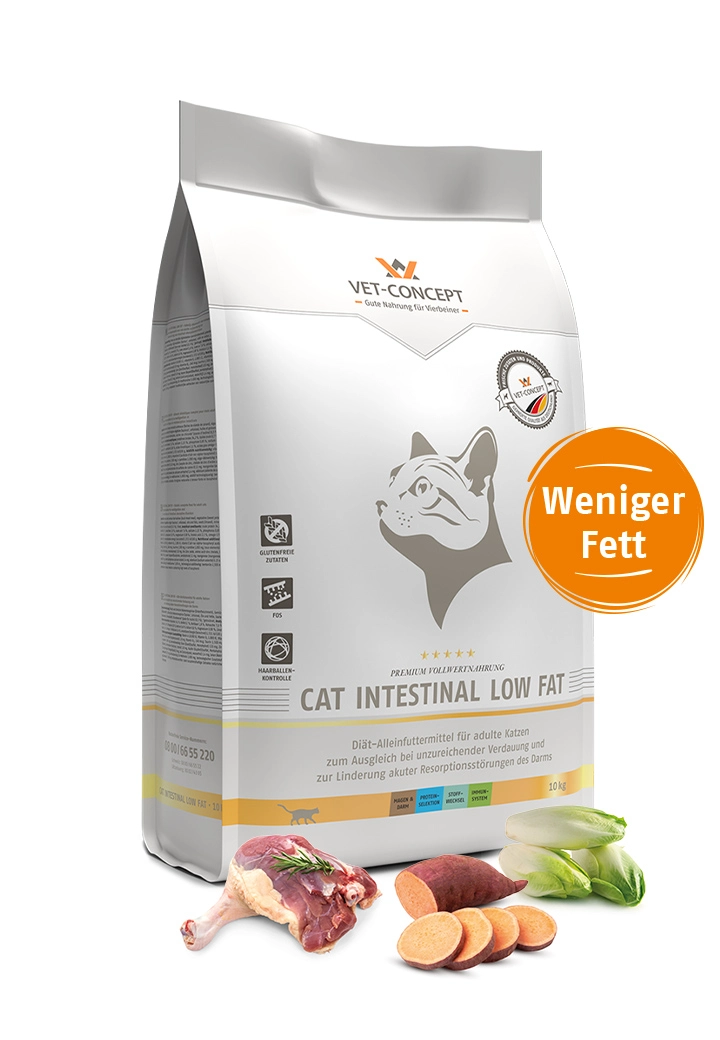 Cat Intestinal Low Fat