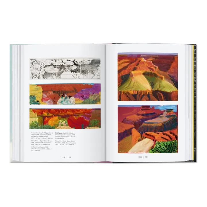Taschen David Hockney. Une chronologie. 40th Ed.