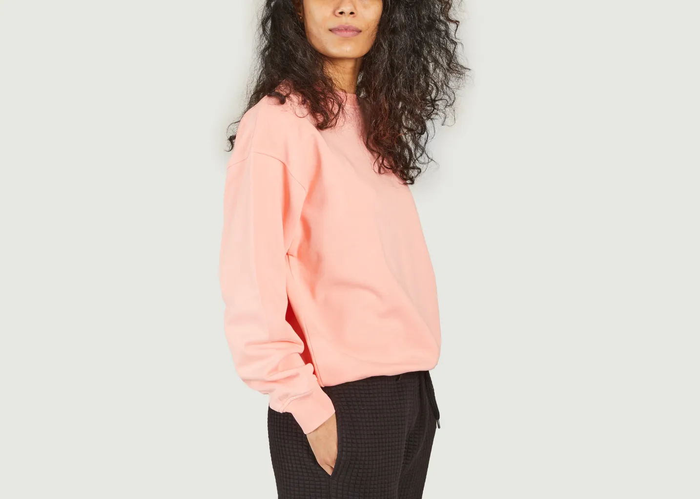 Sweatshirt en coton bio Colorful Standard