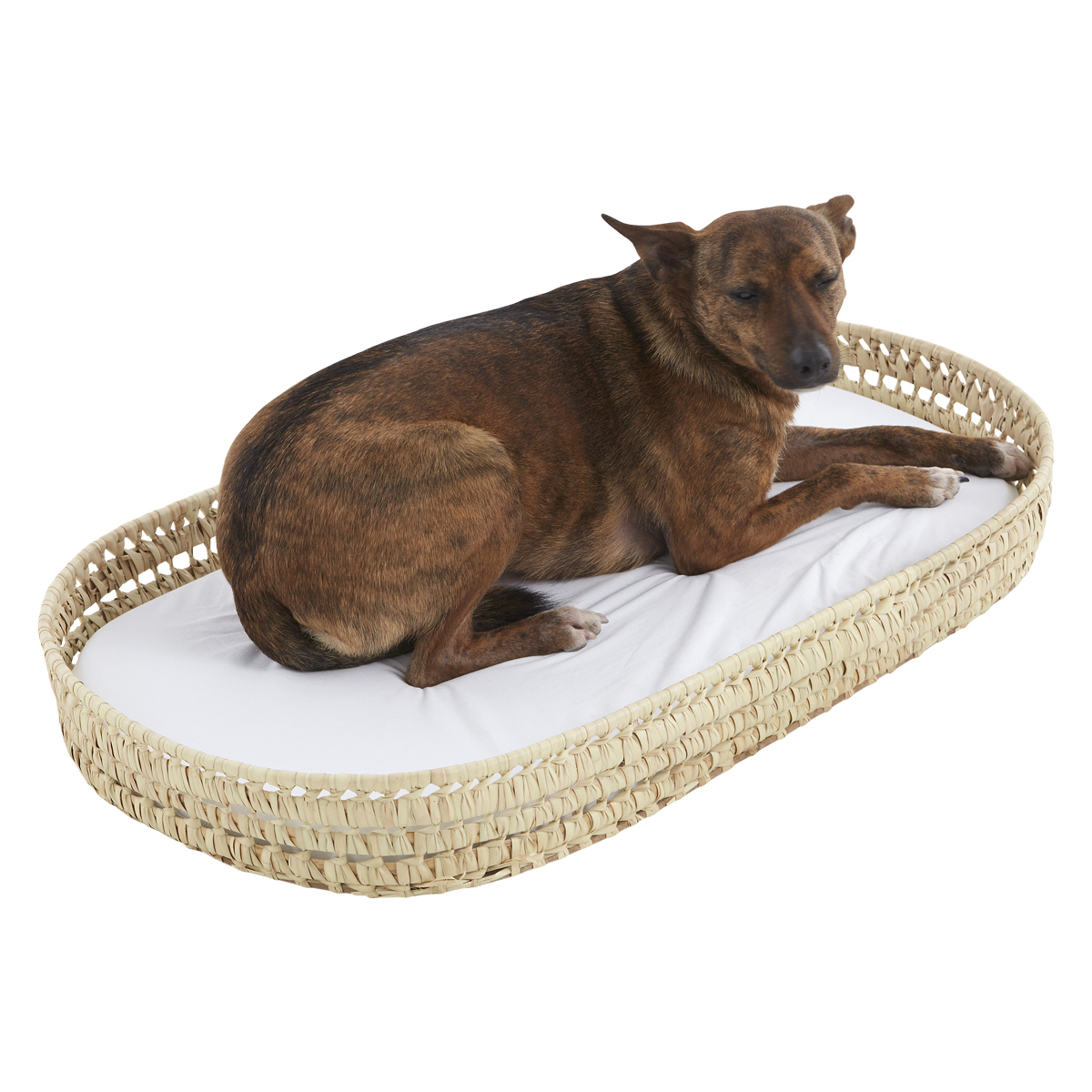 Cama EliteLounge com estampa de palmeiras + colchão impermeável + capa de colchão em algodão verde