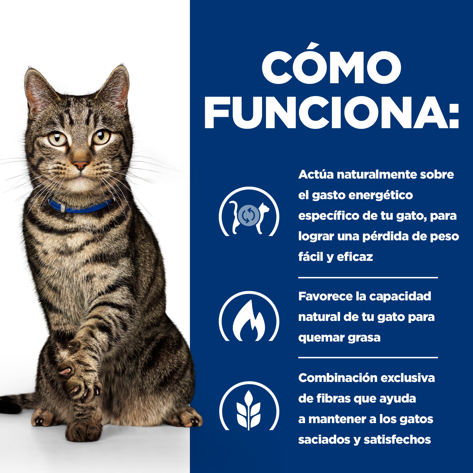 Sachês Hill's Prescription Diet Metabolic Feline para gatos - Pacote múltiplo