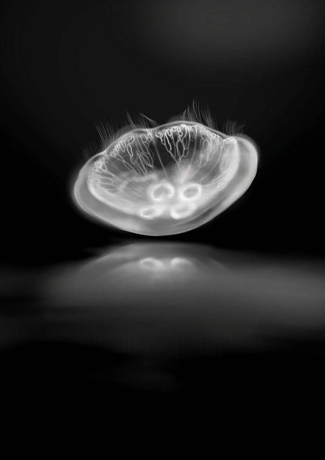 Monochromer Spiegel von Julia Charlott