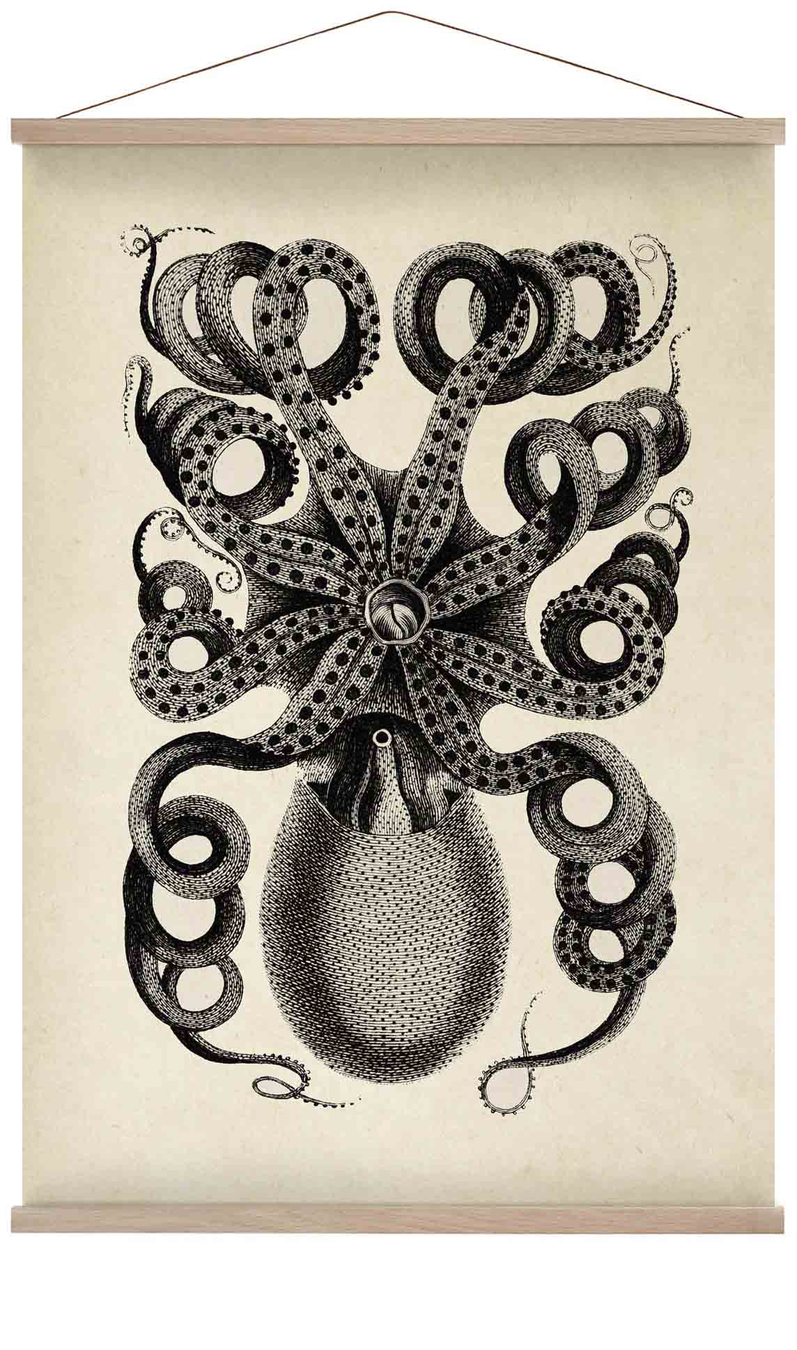 Antiker Oktopus I