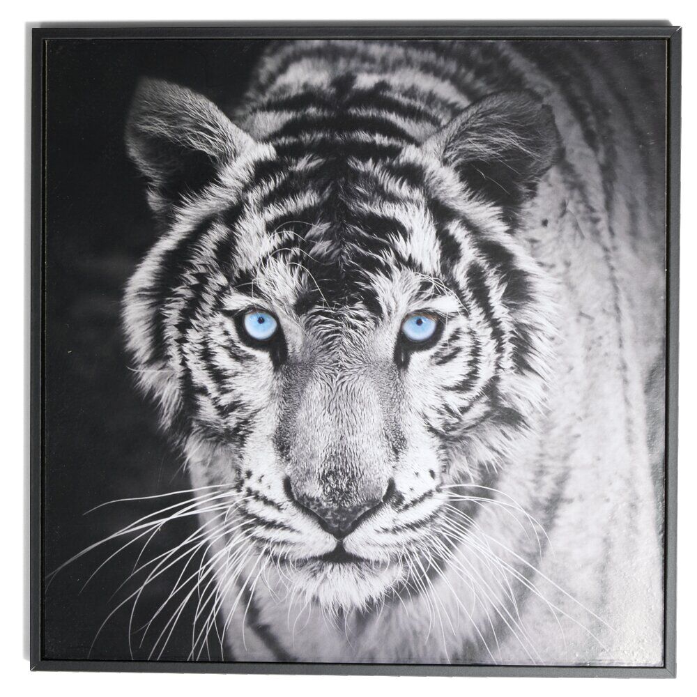 Cadre déco en bois photo tigre blanc 30x30cm