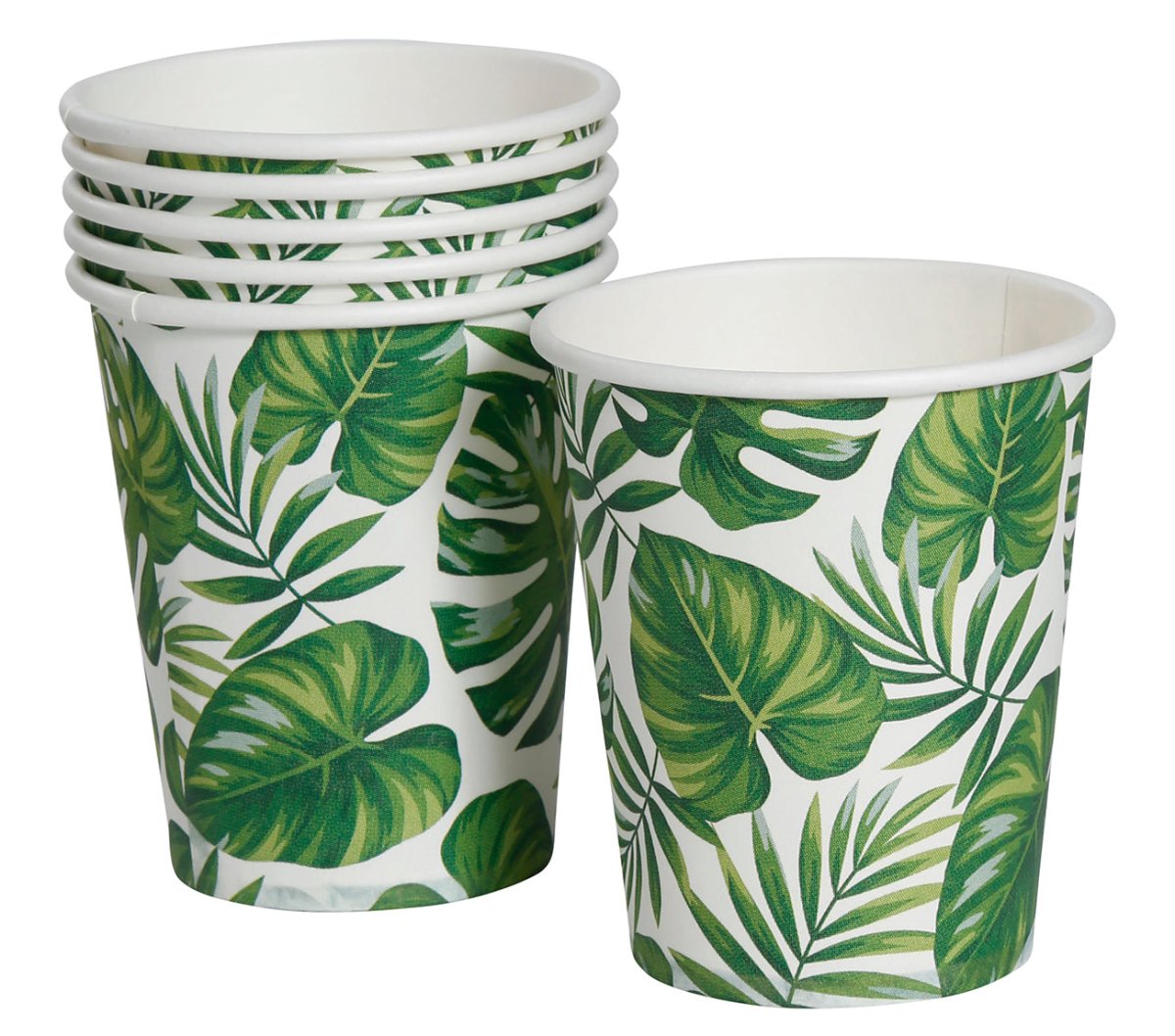 Bekers Palmbladeren 240ml 6st
