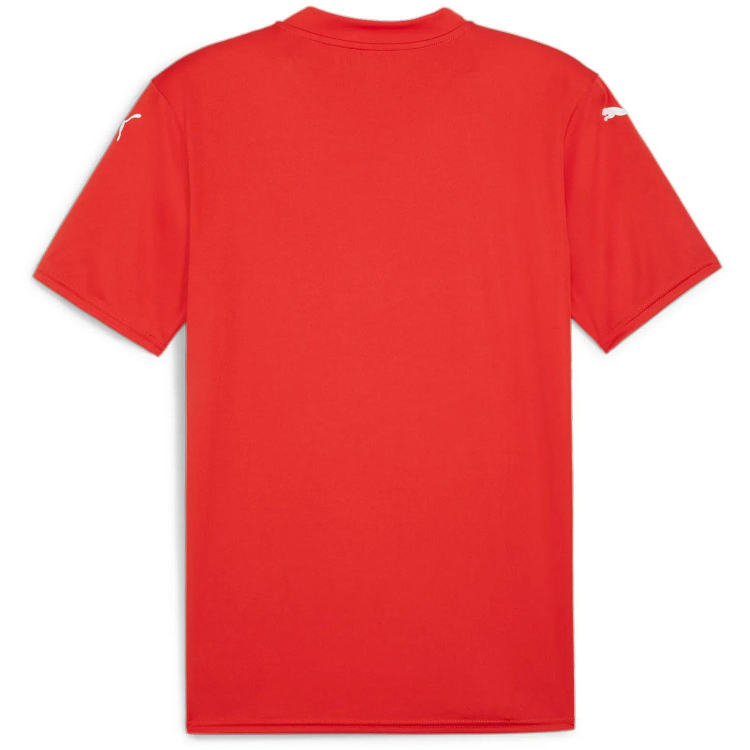 Puma GLORY Keepersshirt