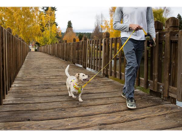RUFFWEAR® Hundegeschirr Flagline Harness 2.0