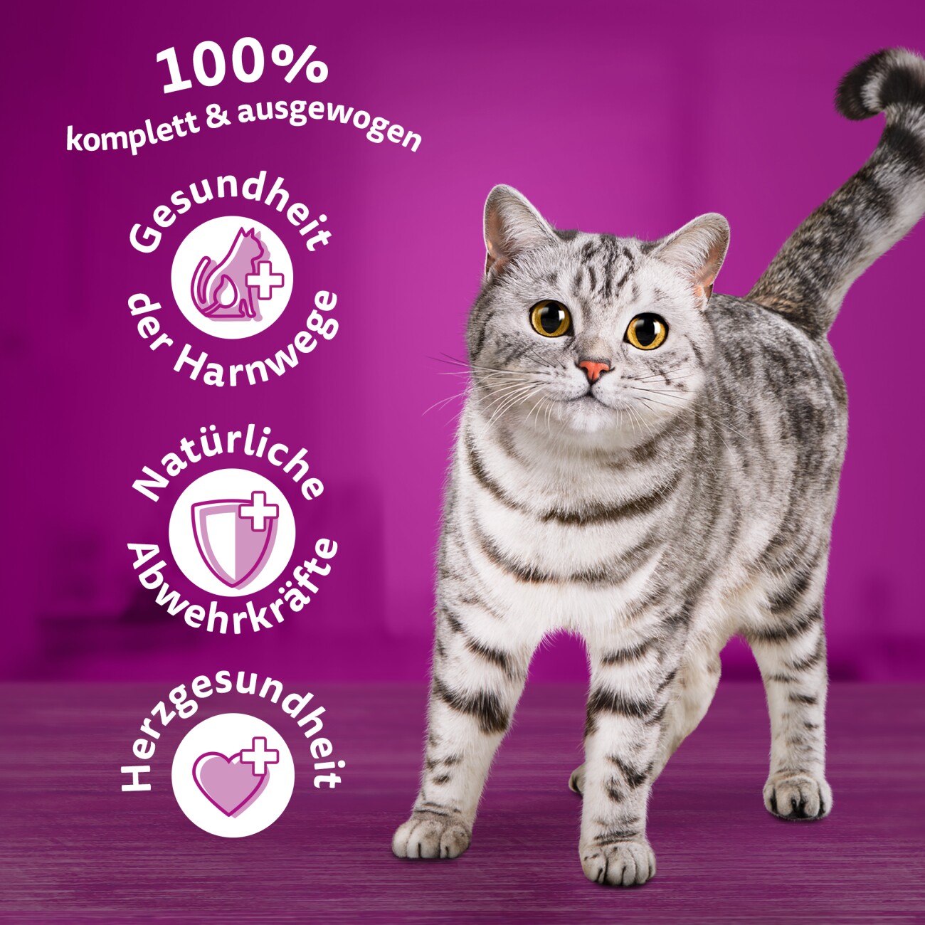 Whiskas Senior 7+ mit Huhn 800 g