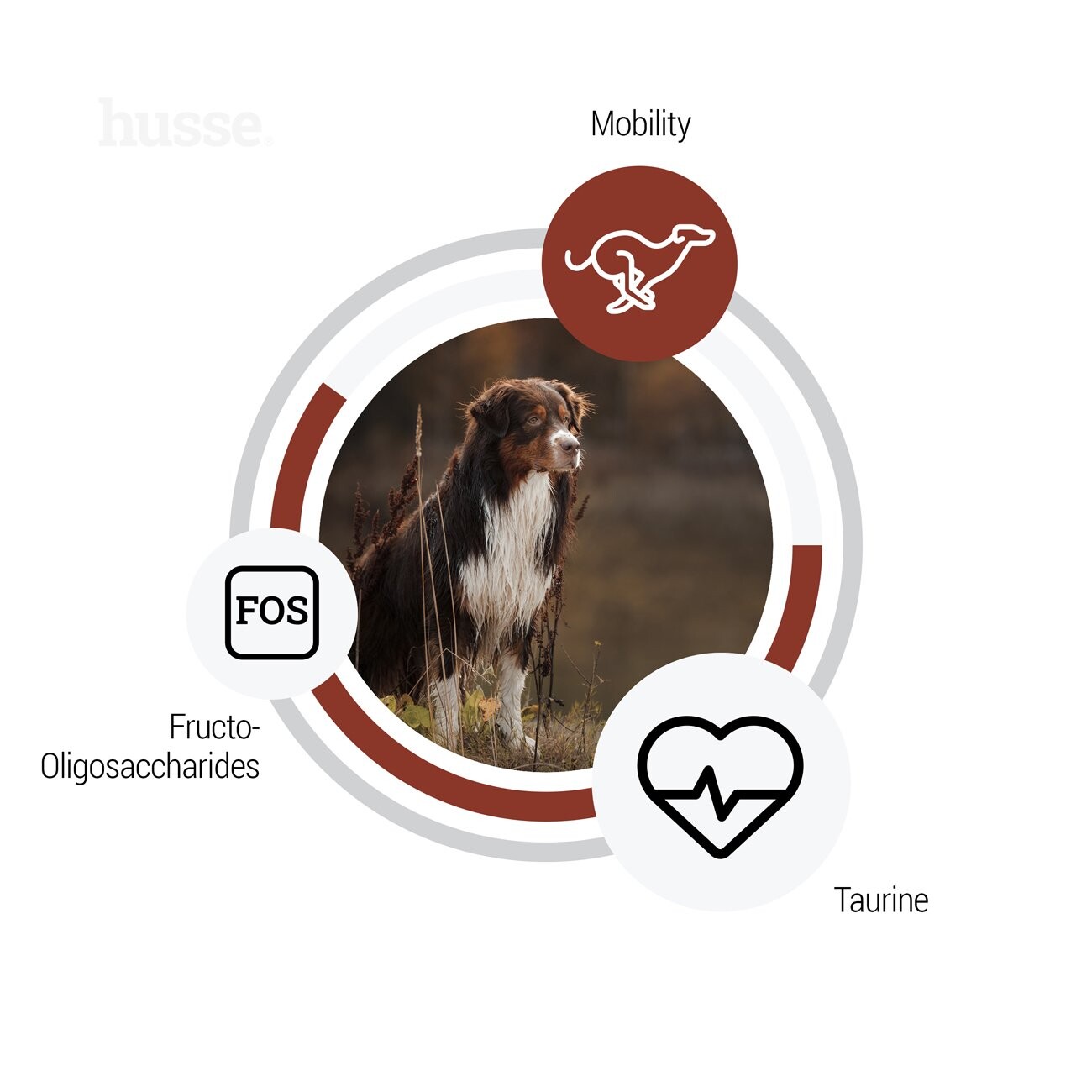 husse Digest Giant Lamm & Reis
