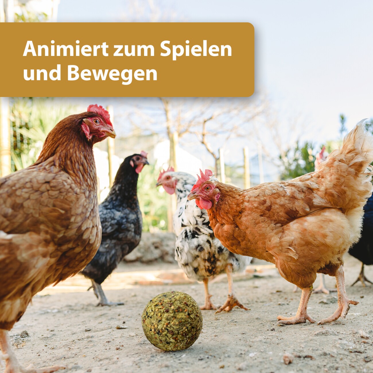 Quiko Hobby Farming Fitness Kräuter Ball 4x100 g