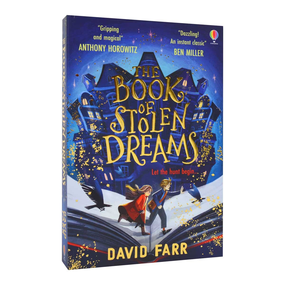 The Book of Stolen Dreams - The Stolen Dreams Adventures (Paperback)