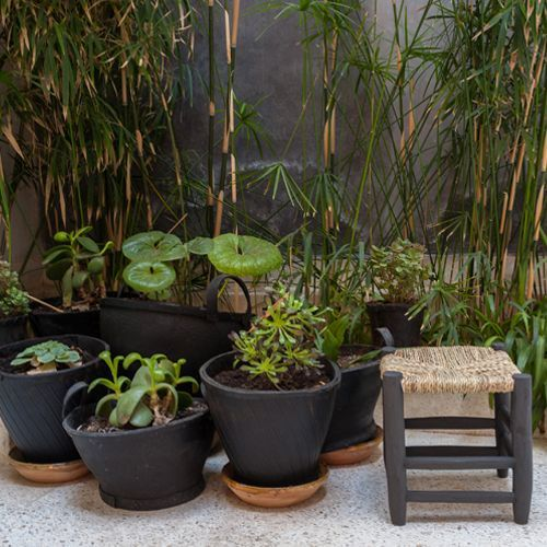 Plantenmand Autoband XL 45 cm
