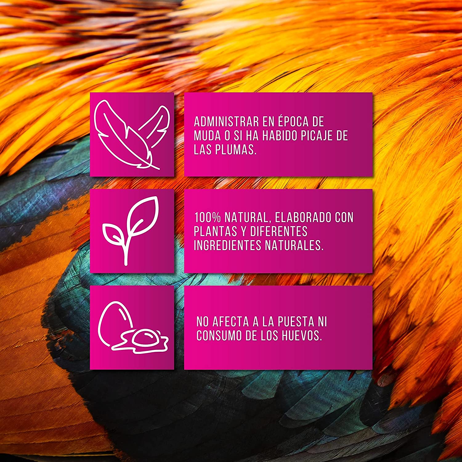 Finca Casarejo Solupluma vitaminas para muda