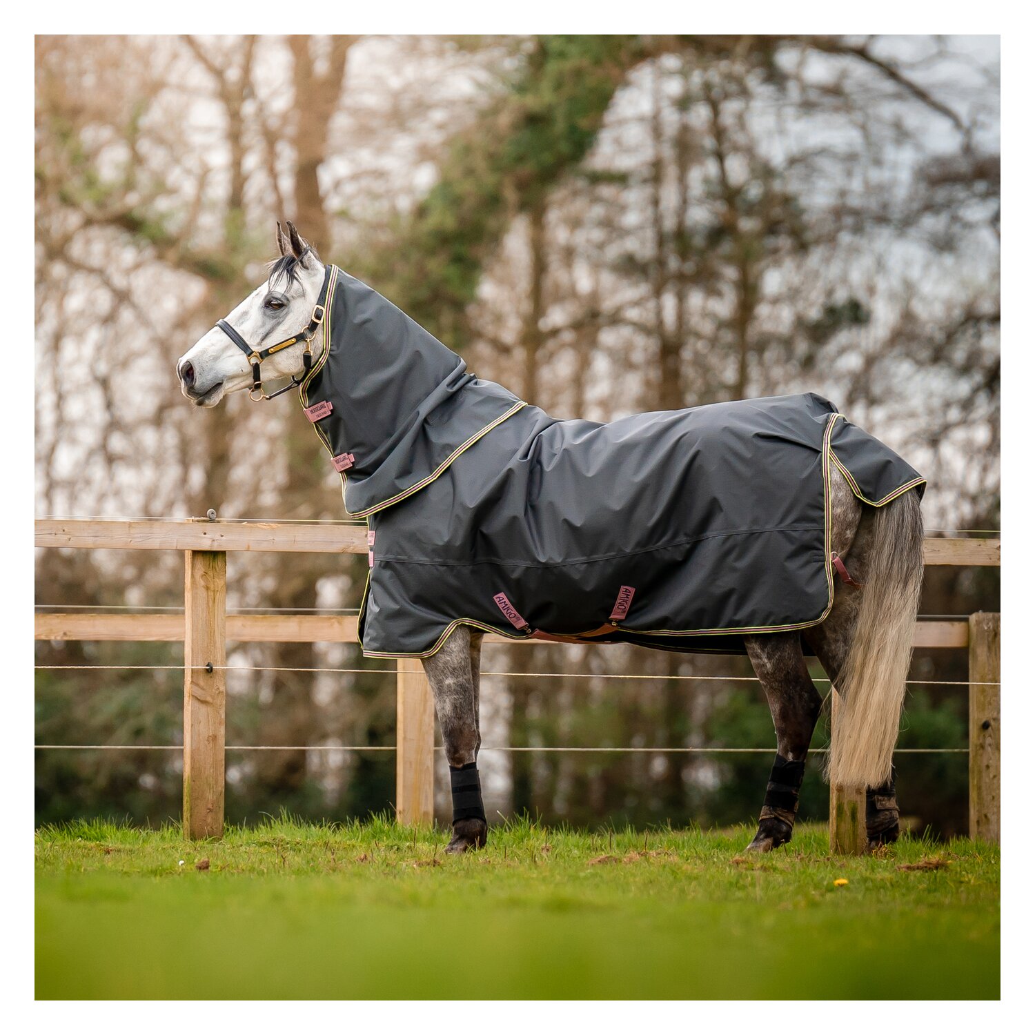 HORSEWARE Outdoordecke Amigo Hero Ripstop Plus Lite - shadow / rose & navy