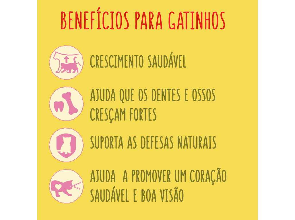 RAÇÃO PARA GATO FRISKIES JÚNIOR 400G