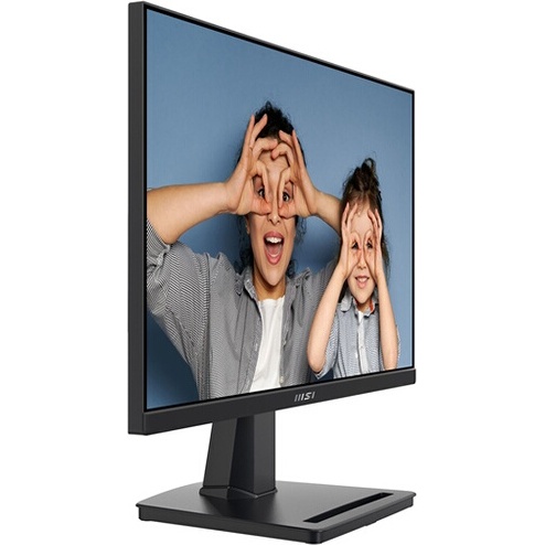 Ecran PC Msi PRO MP225V