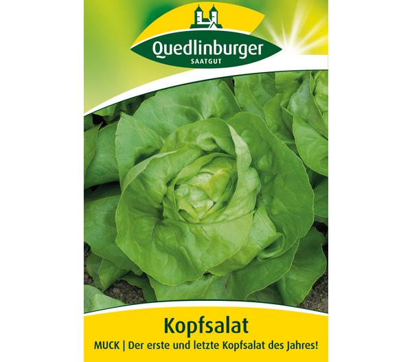 Quedlinburger Samen Kopfsalat 'Muck'