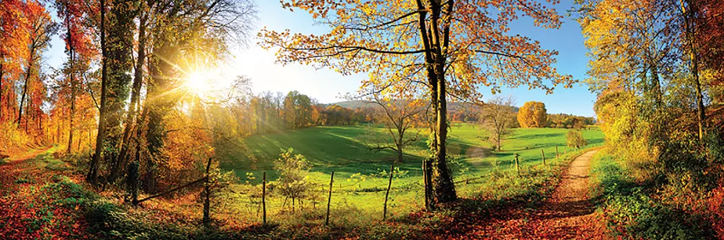 Wandbild 60 x 180 cm Romantic View