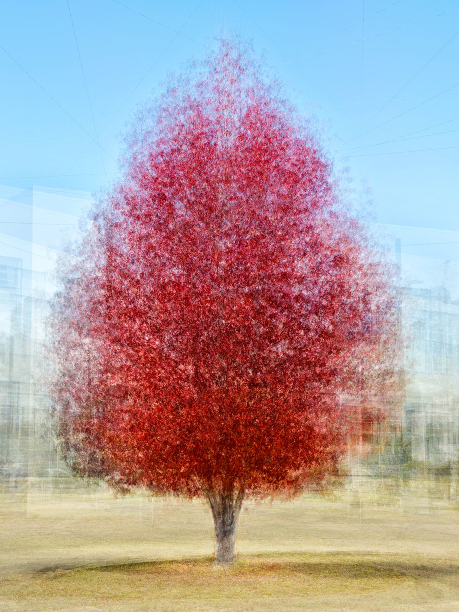 Alameda, Two by Pep Ventosa - Limited Edition. Edition of: 150. Signed.