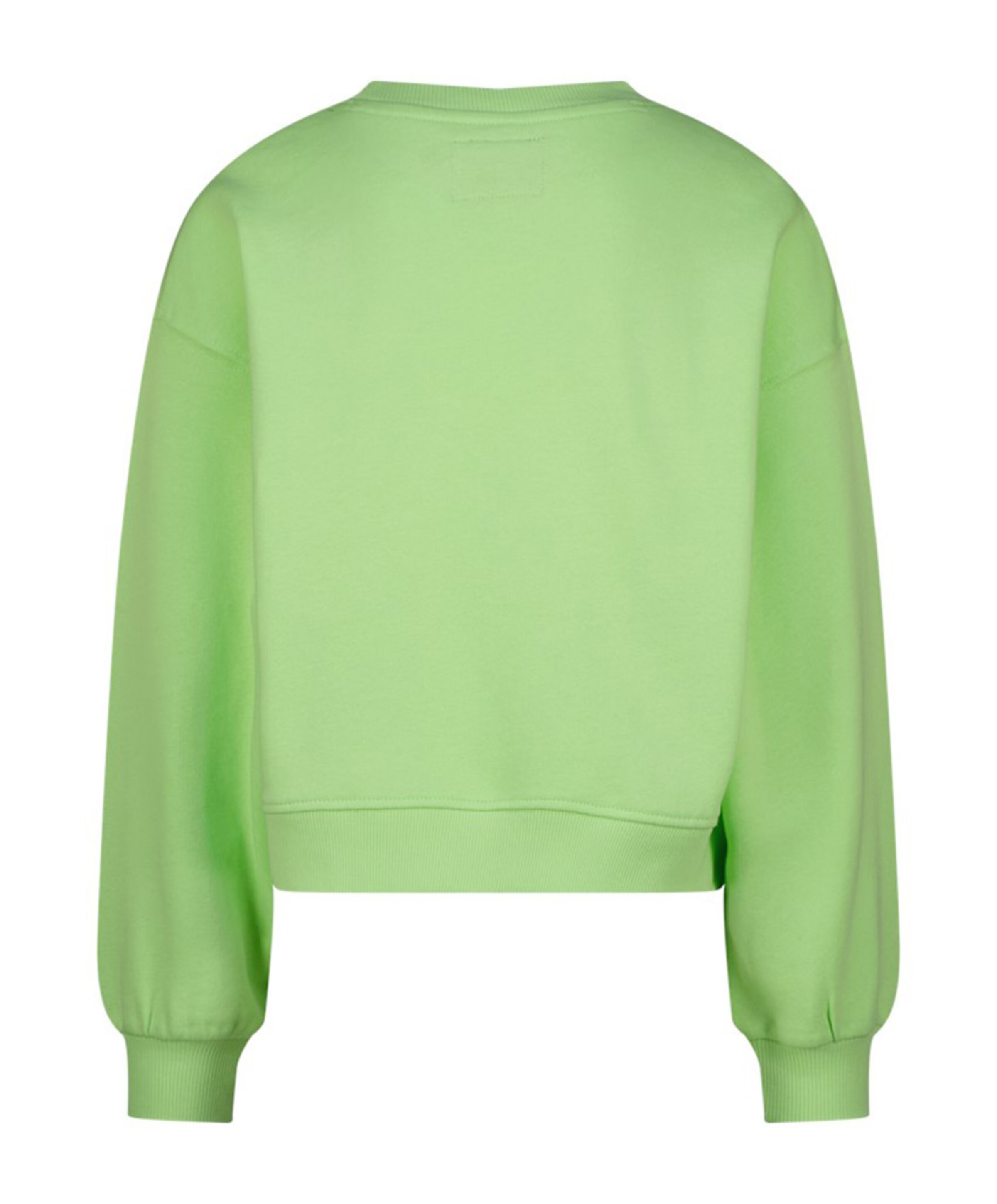 Raizzed Meisjes sweater groen