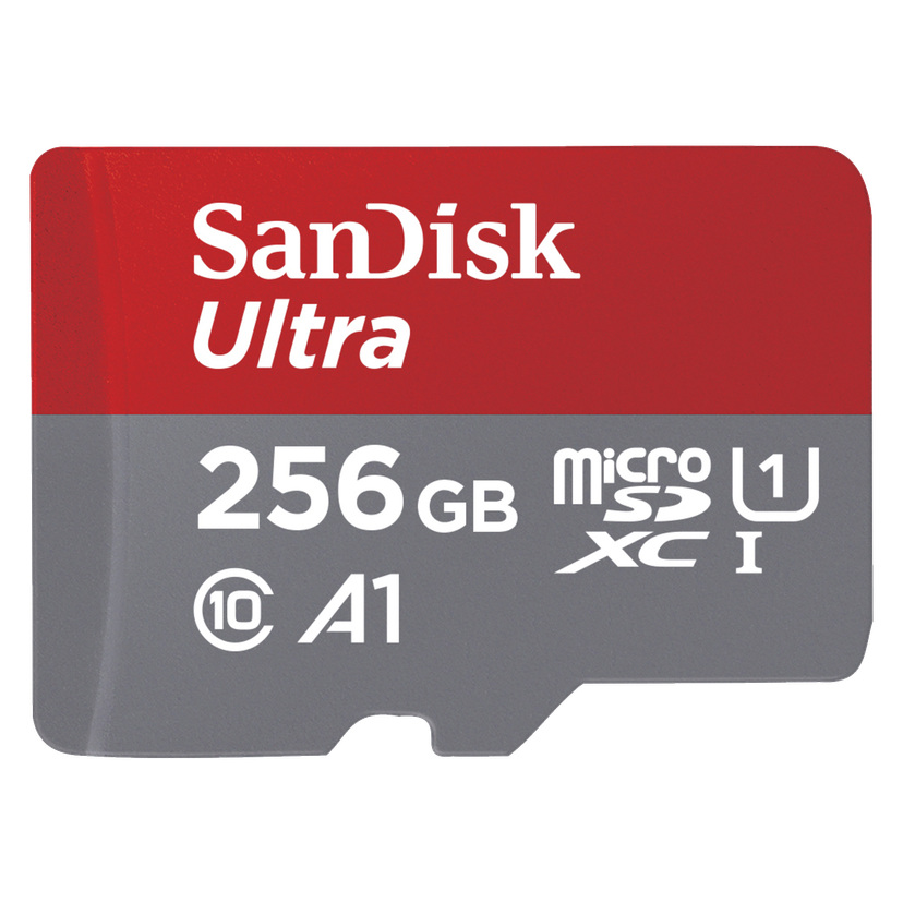 MicroSD-kort 256 GB