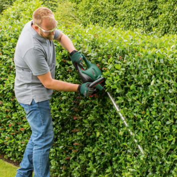 Bosch heggenschaar Universal HedgeCut 60cm