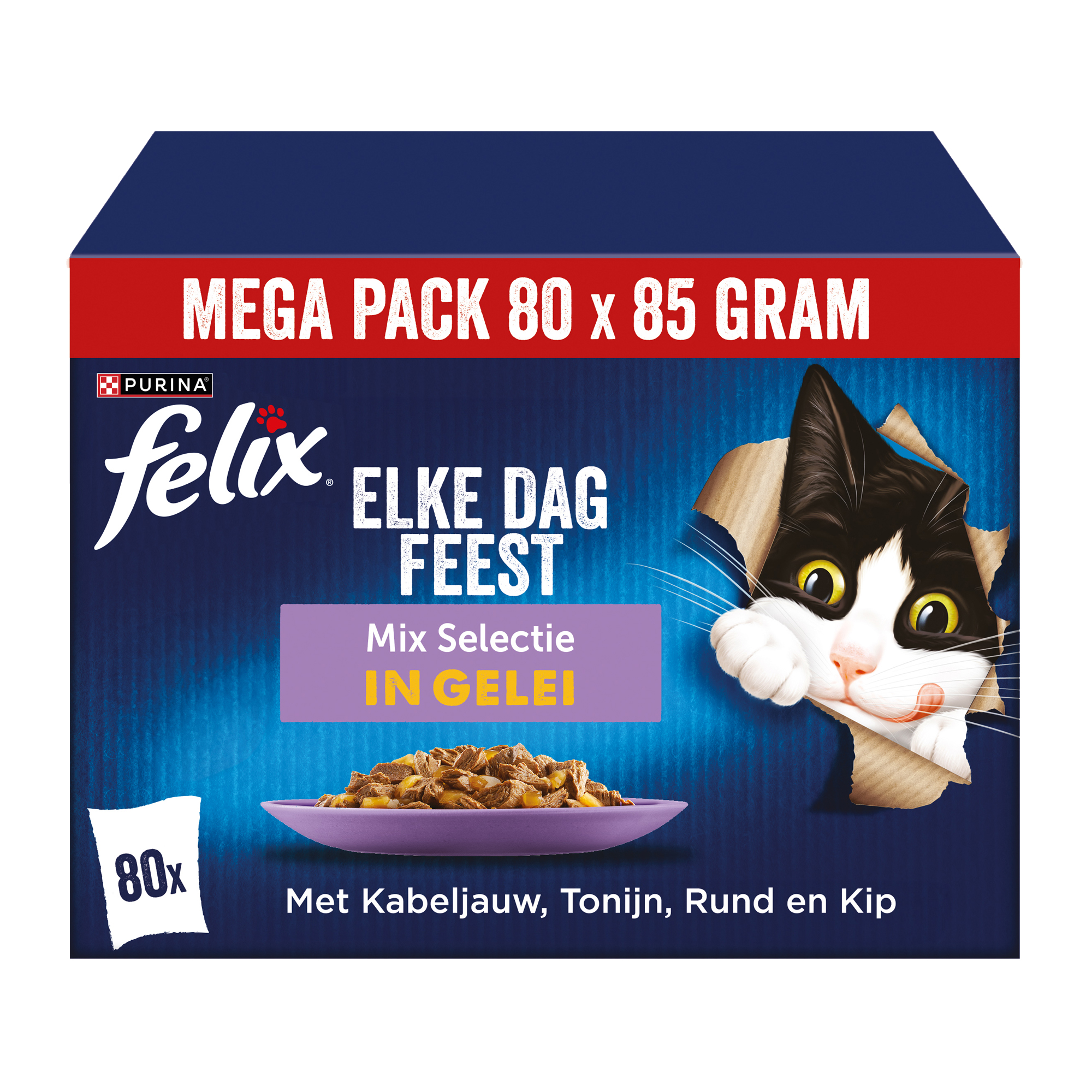 Felix Elke Dag Feest in Gelei
