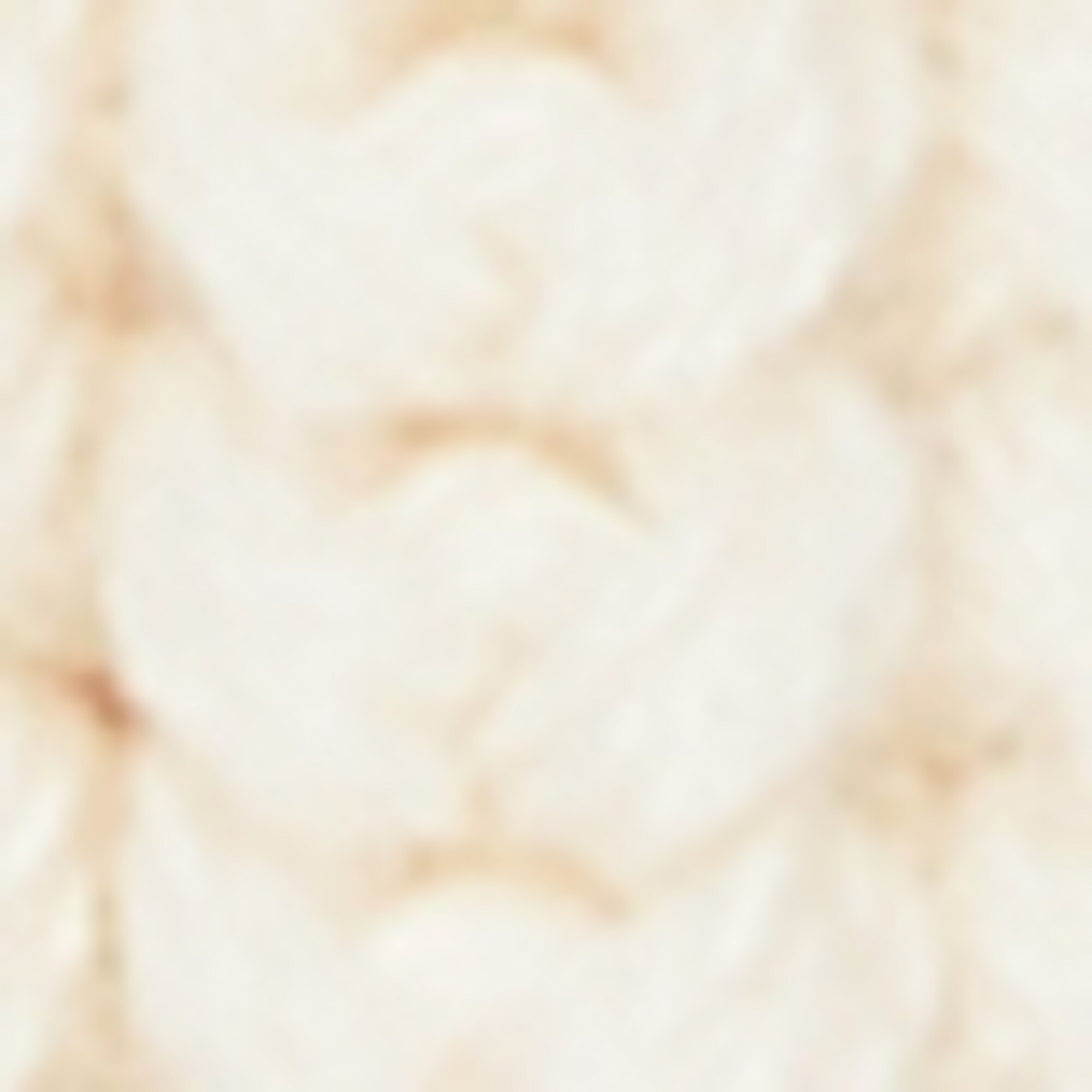 DfC Mütze aus Organic Cotton