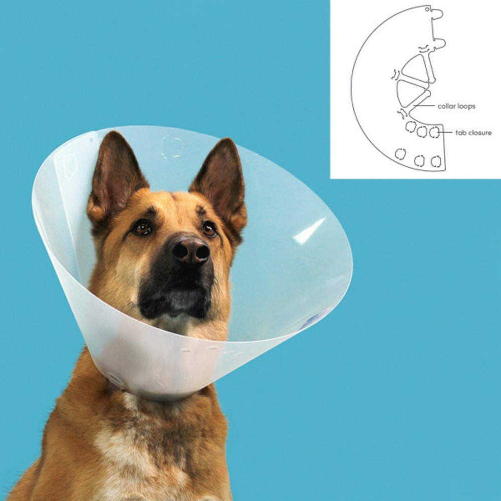 Collier de protection isabelino pour chiens quick fit transparent (63-78 cm)