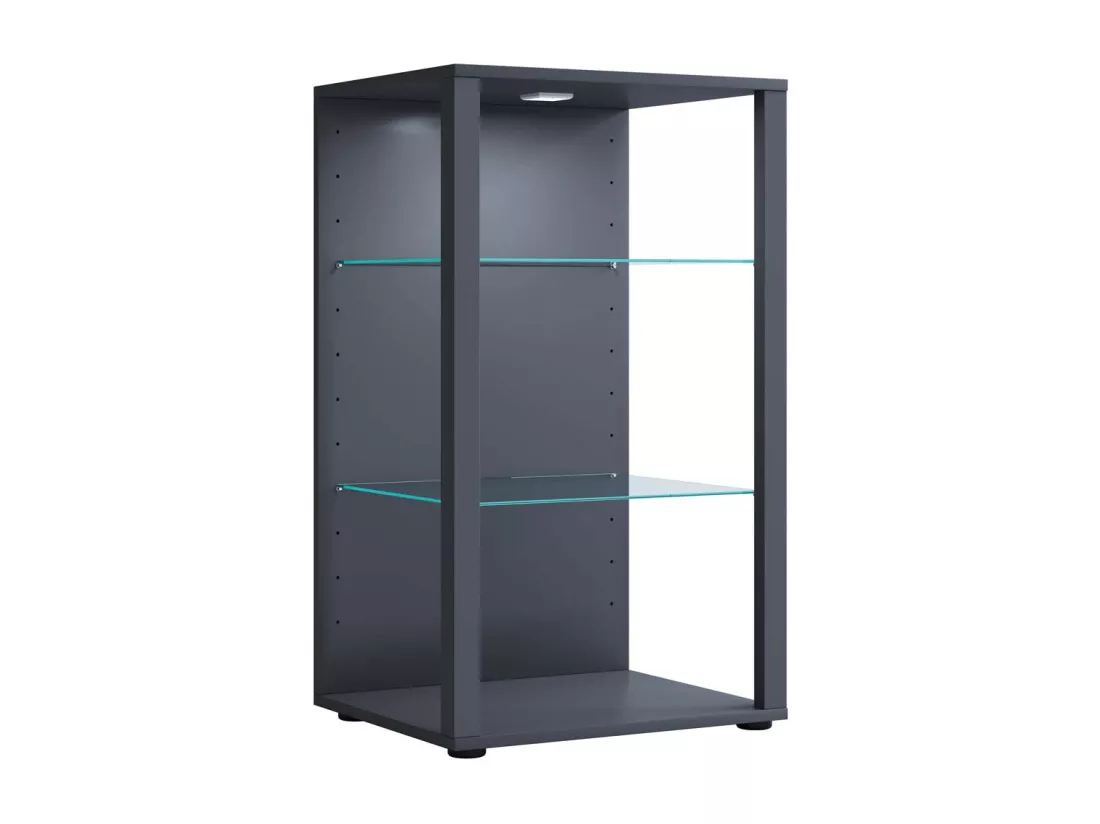 Bois Verre Vitrine Glasol XL