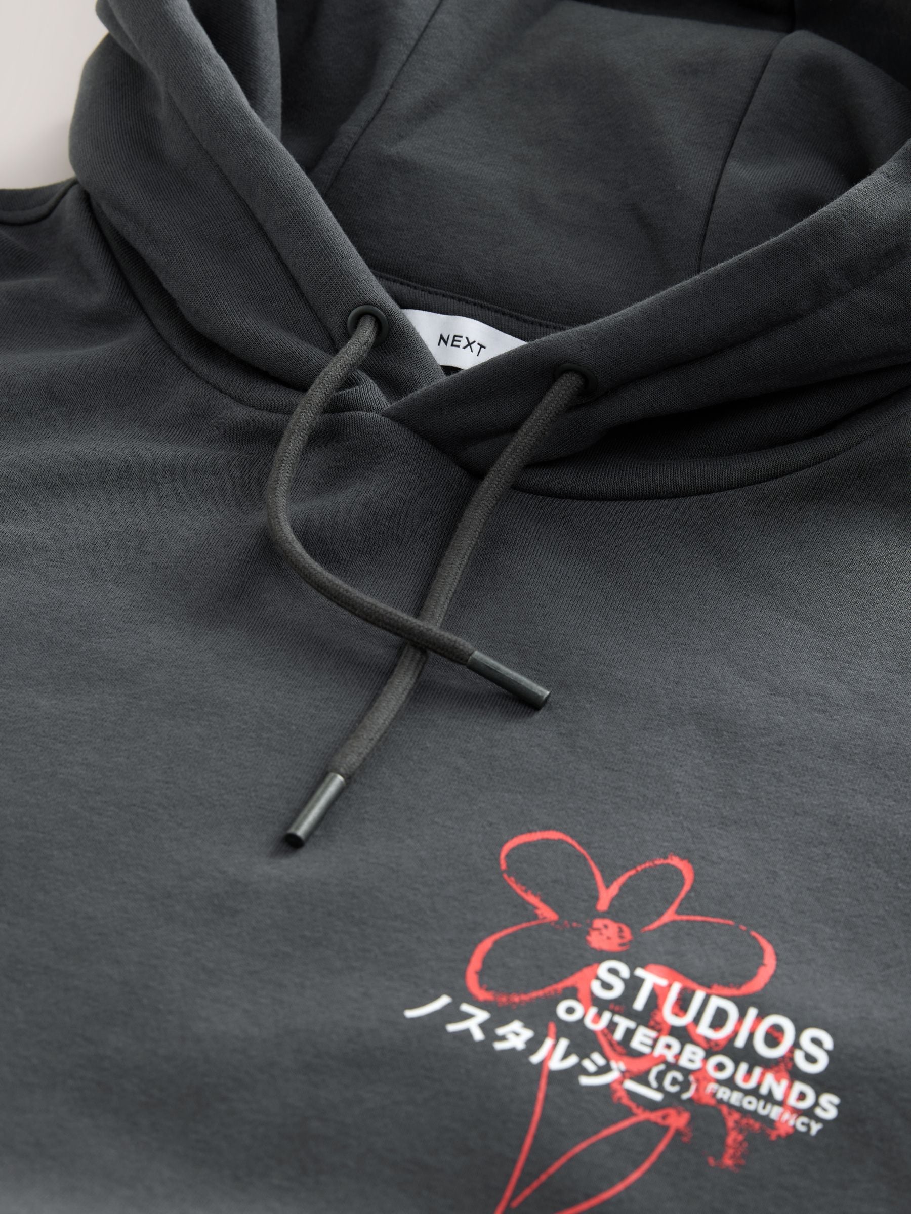 Leisteen grijs - Hoodie met grafische print