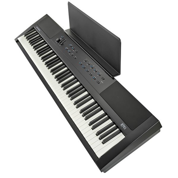 Kurzweil KaE1-LB