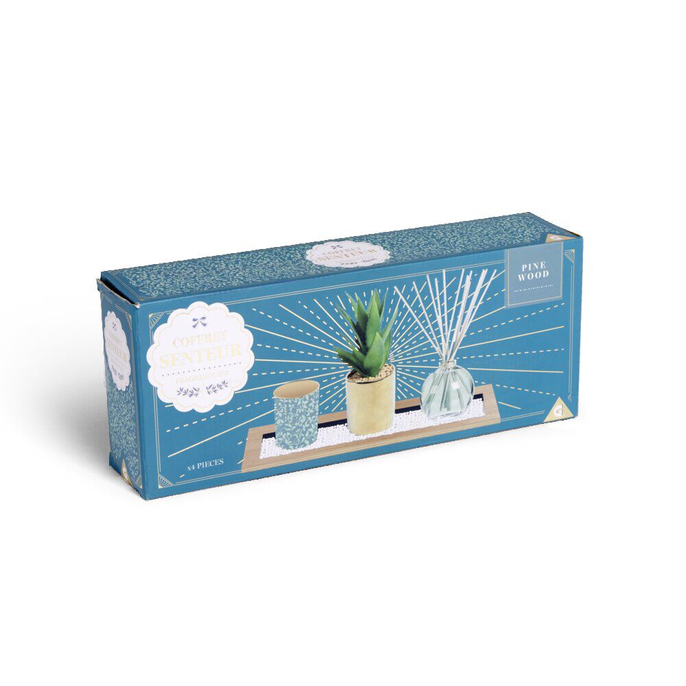 Coffret senteur bougie/plateau/diffuseur/plante artificielle