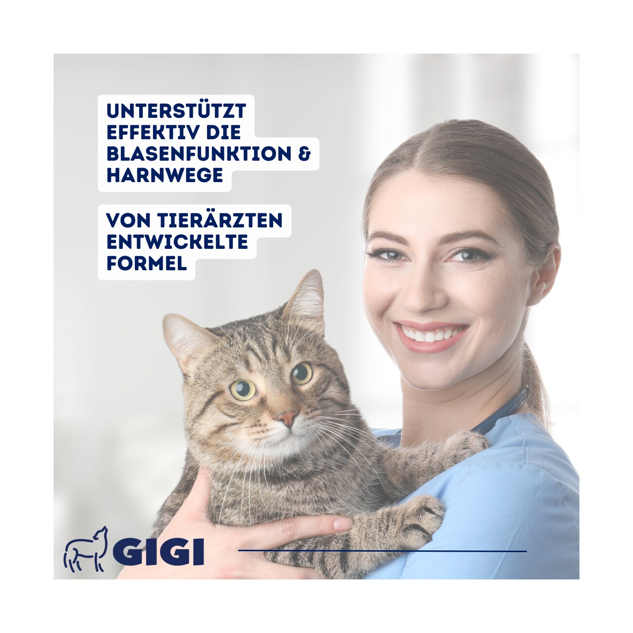 GIGI VET Harn & Blase 28 Stück