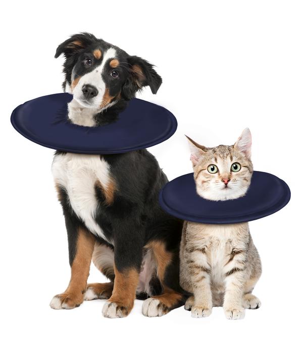 Dehner Lieblinge Leckschutzkragen für Hunde &