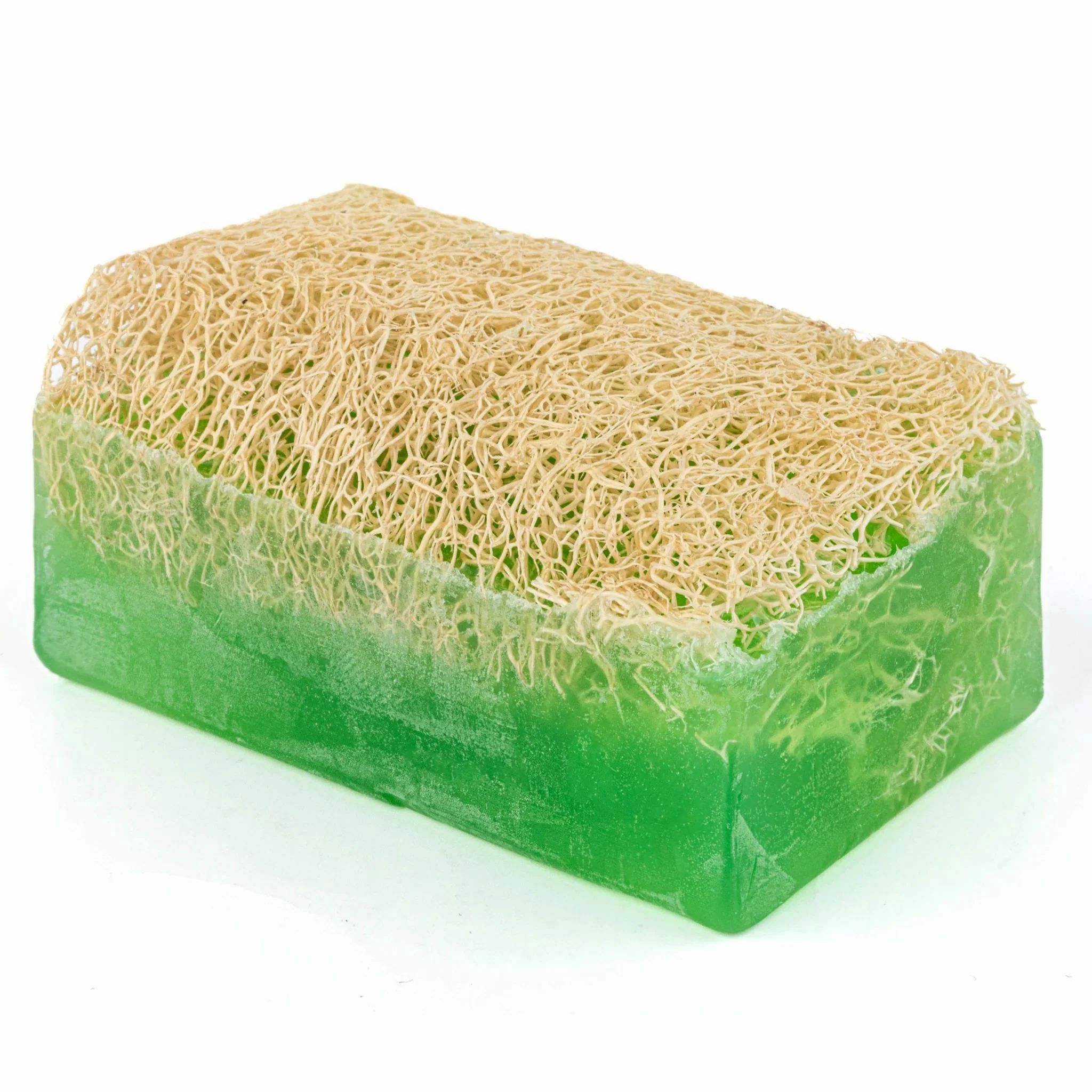 LaNaturél Aloe Vera Seife mit Peeling Schwamm