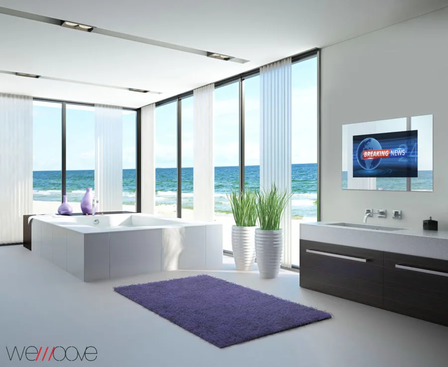 Wemoove WM-ISFMTV322HEVC TV LED