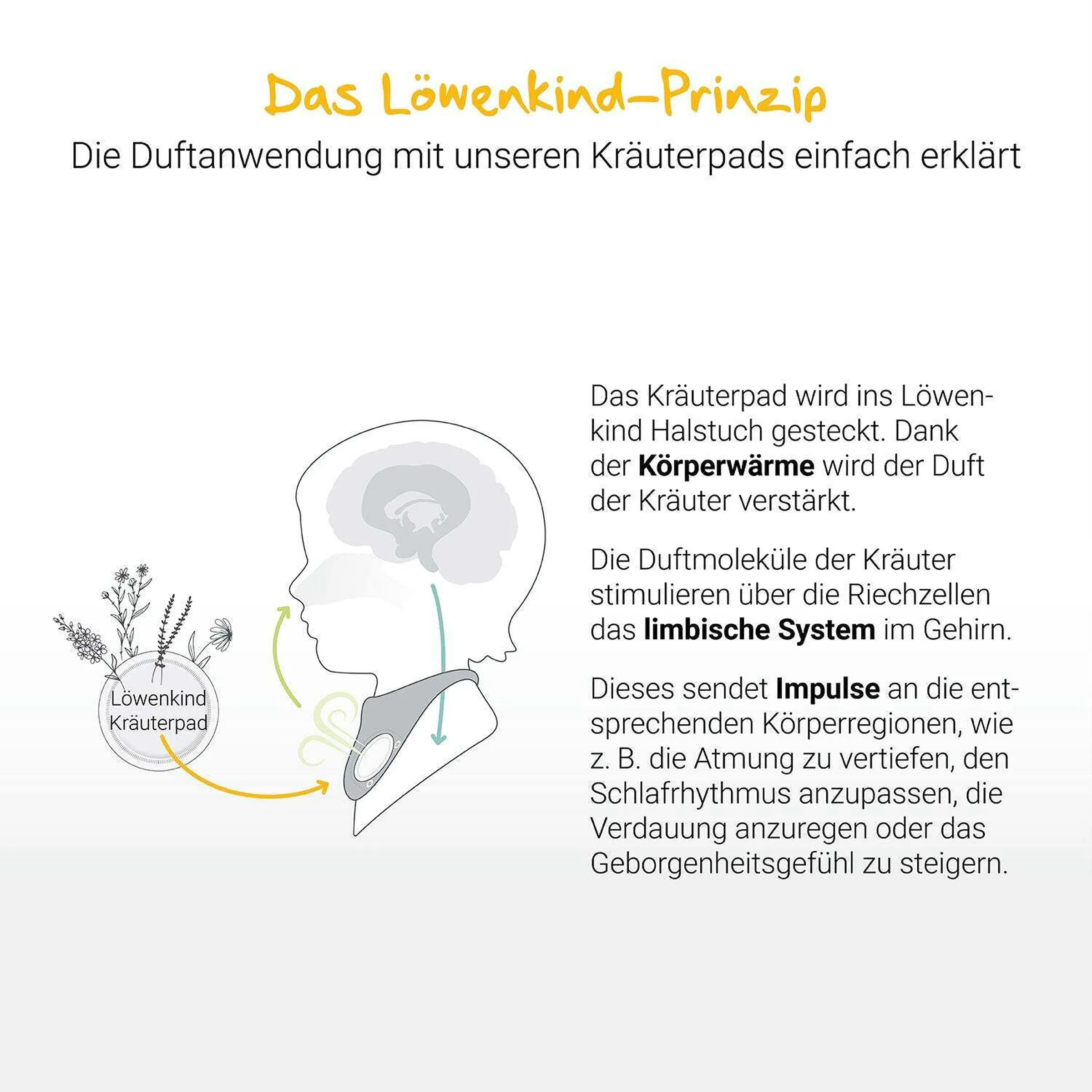 Löwenkind Harmonie-Set Pistazie