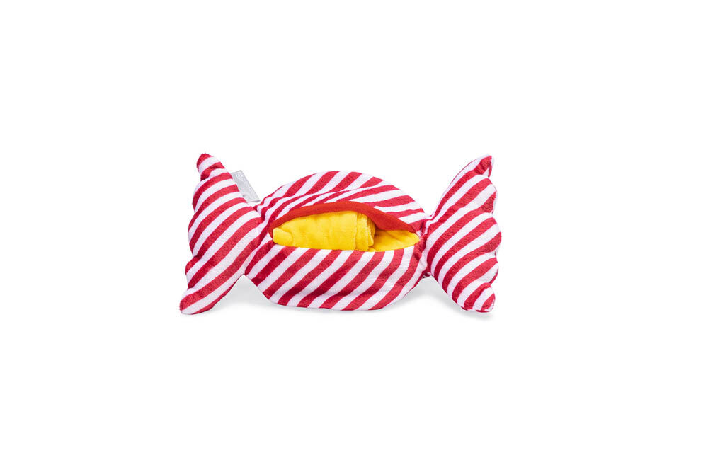 Beeztees Hide and Seek Snoepje - Snuffelmat - Hondenspeelgoed - multi - 3x14x28 cm