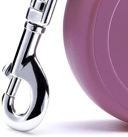 Flexi - Nova guia clássica para gatos, tamanho XS, corda de 3 m.