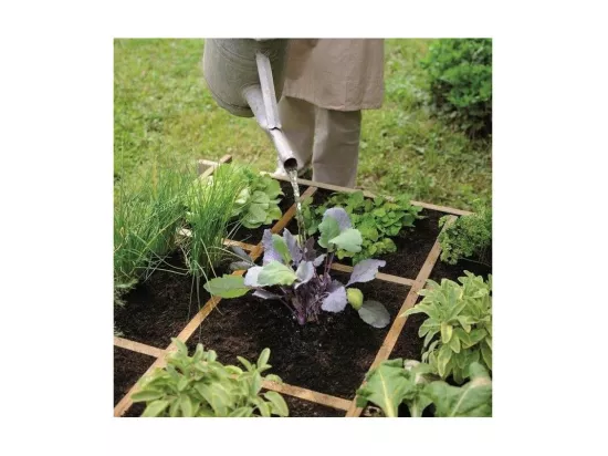 Carré potager à poser 9 cases Cardon