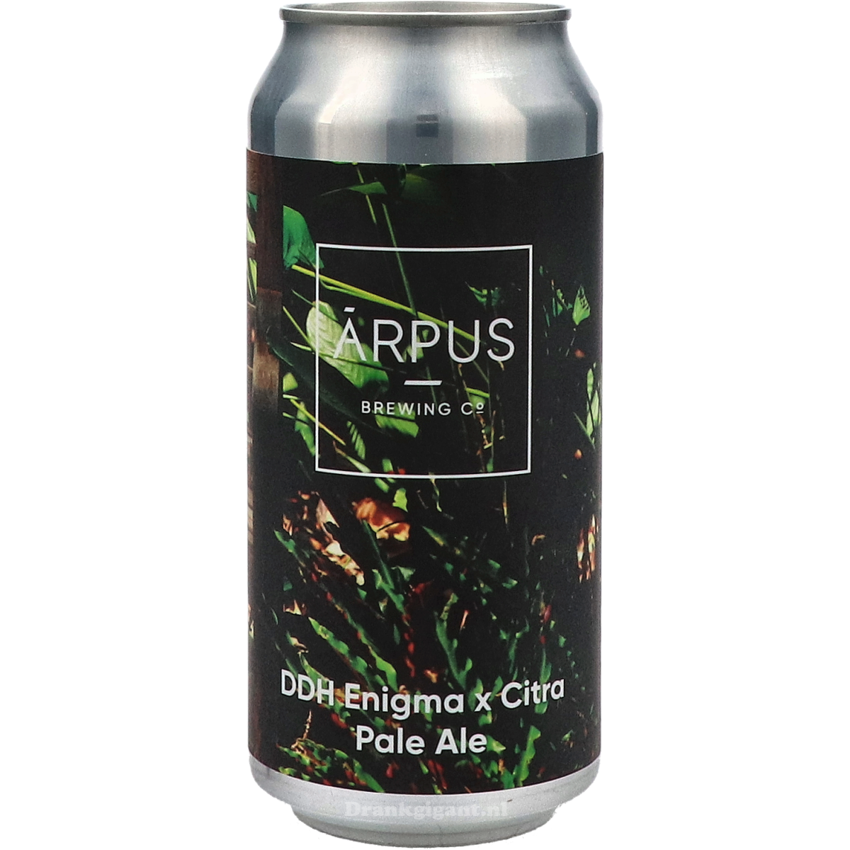Arpus DDH Enigma X Citra Pale Ale 44 cl