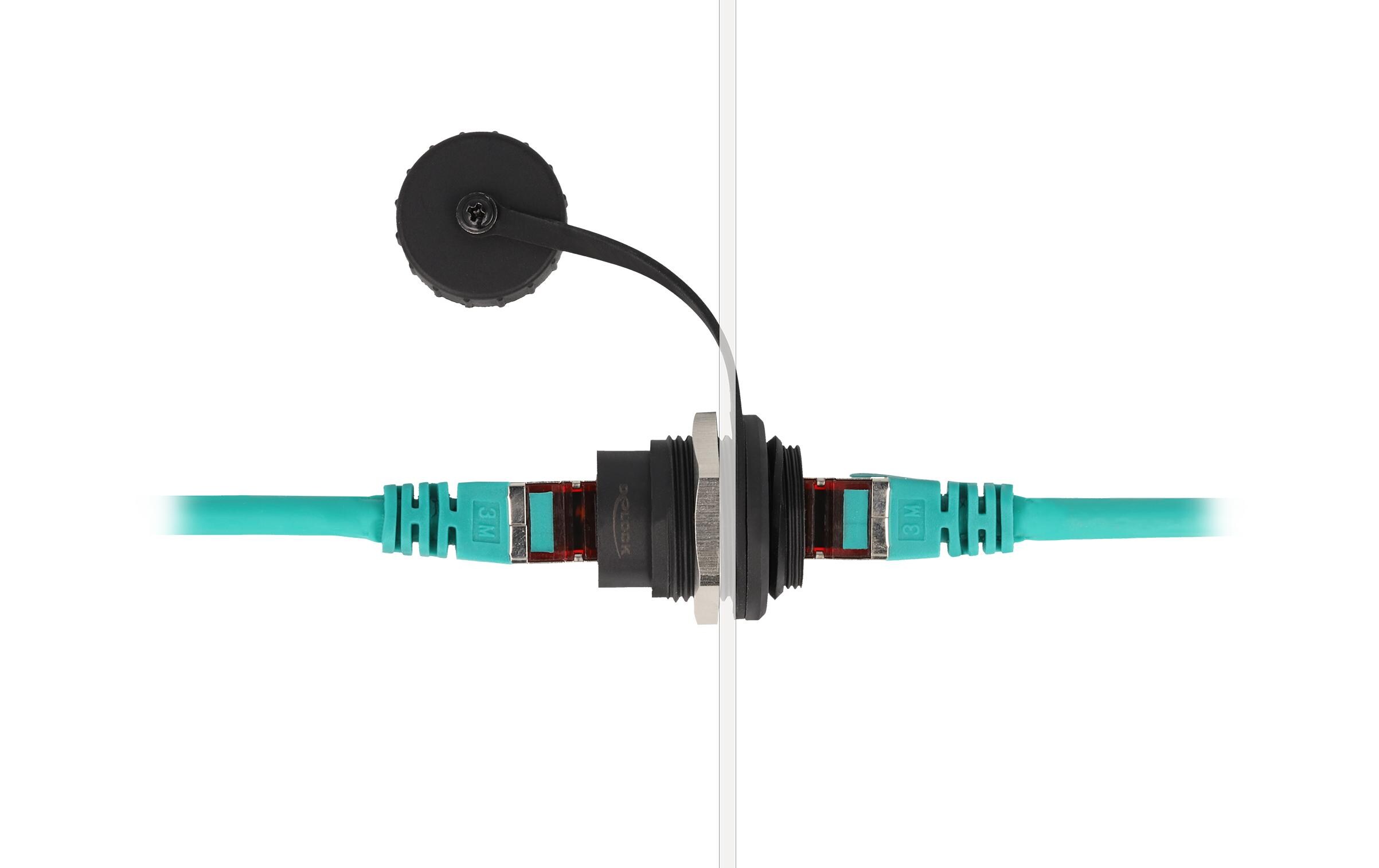 RJ45 Cat.6 Einbaubuchse IP67 staub- & wassserdicht, 1 StückDelock RJ45 Cat.6 Einbaubuchse mit Verschlusskappe IP67 staub- und wasserdicht