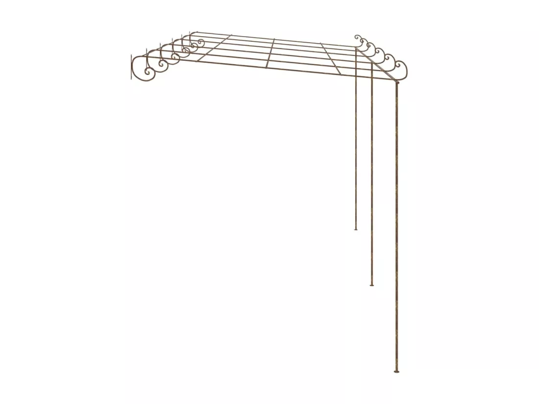 Pergola de jardin Marron antique 6x3x2,5 m Fer