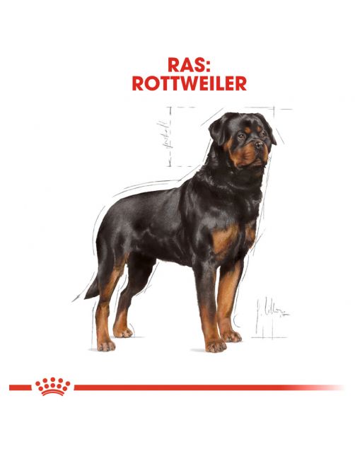 Royal Canin Rottweiler Adult - Hondenvoer