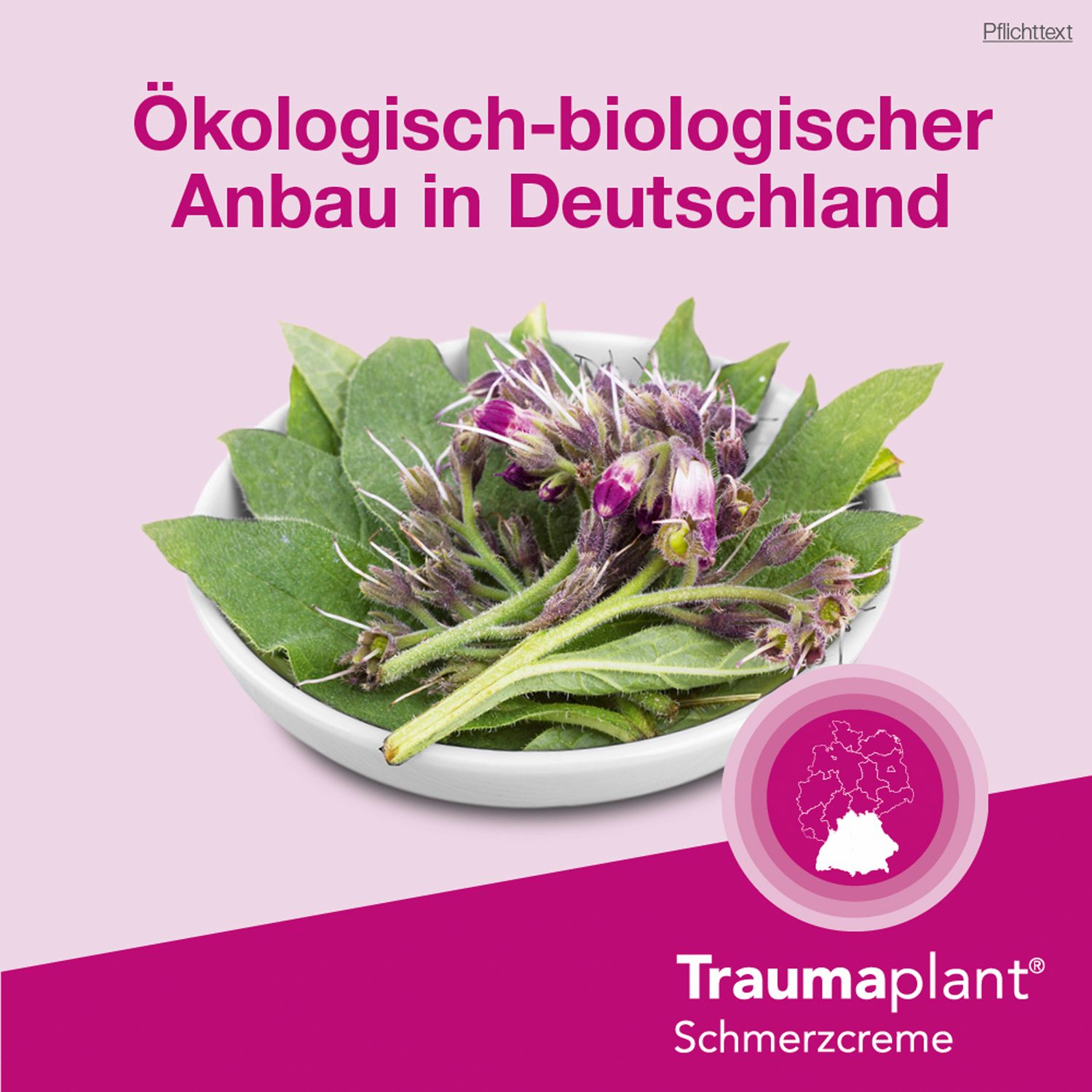 Traumaplant® Schmerzcreme