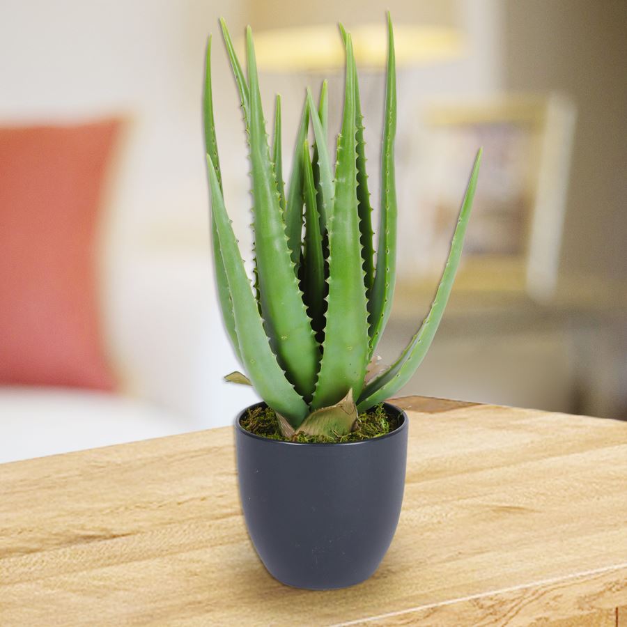 Künstliche Aloe Vera im Topf 45cm
