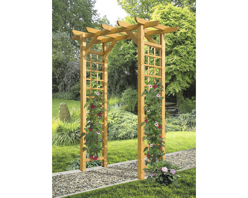 Rozenboog 165 x 80 x 210 cm dennen