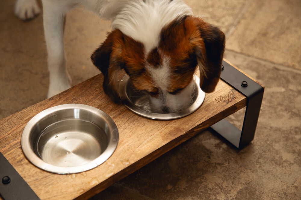 Designed By Lotte Karinto Dinerset - Voer & Drinkbak - Bruin Zwart - M