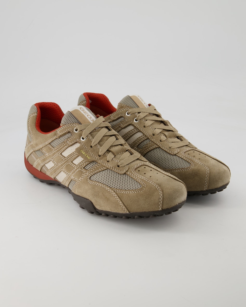 Geox Snake Sneaker in Beige